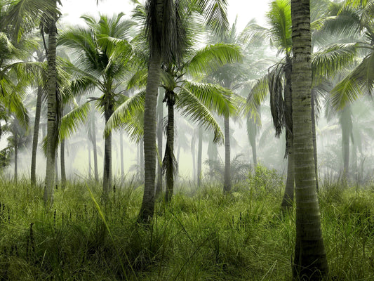 Van palmblad tot filament: het materiaalverhaal achter Hembased